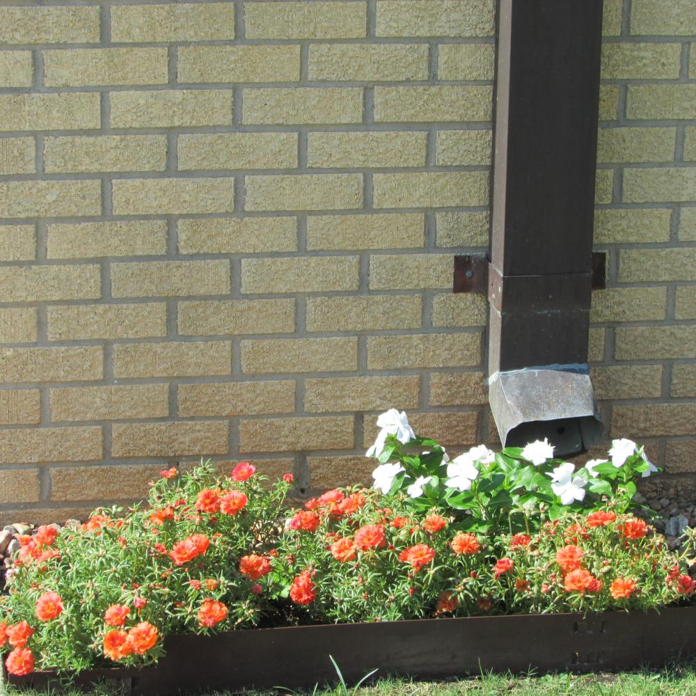 Bobbie & Joe's Flowers