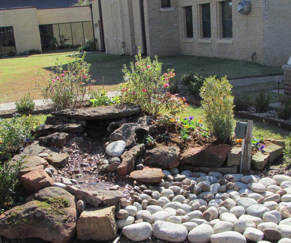 New water garden